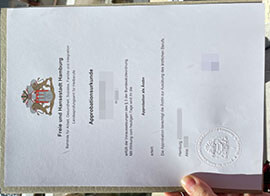 How can I earn a Hamburg Approbation als Ärztin Urkunde online?