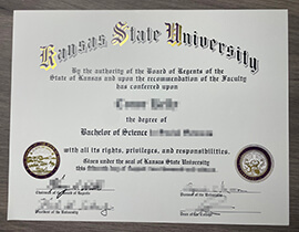 Principles for duplicating a Kansas State University degree