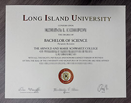 How to Get a Long Island University diploma? Buy a LIU transcript.