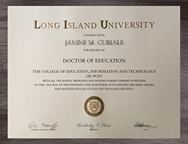 Unusual methods to get a Long Island University degree.