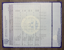 Why I’m interested in a phony Santa Monica College transcript?