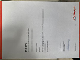 Is it easy to buy a Scheidegger Opleidingen diploma online?