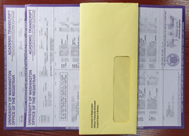 Order a University of Washington transcript and envelope.