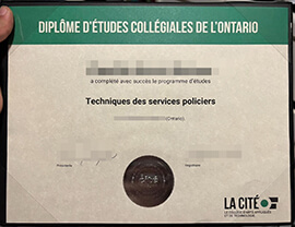 Is it difficult to Get a Collège La Cité diploma certificate