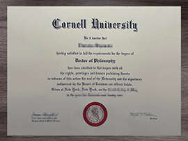 Essential Things for Making a Cornell University degree.
