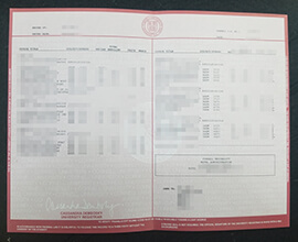 Why I choose to Create a Cornell University transcript online?