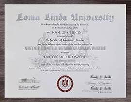 Your Path to a Loma Linda University degree Starts Here.