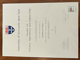 How to Replicate University of Newcastle upon Tyne degree?
