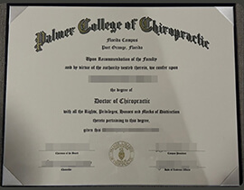 Where to Order a Palmer College of Chiropractic degree?