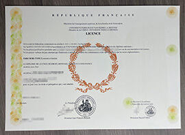 Fool-proof ways to Get a Université Paris Nanterre diploma.
