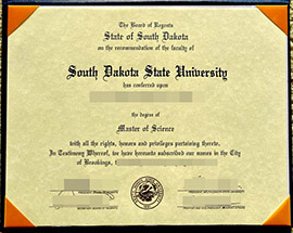 Where to Create a fake South Dakota State University degree?