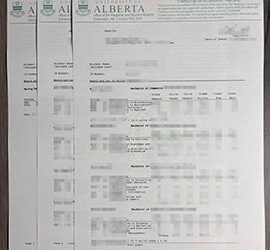 Unbelievable Way to make a University of Alberta transcript.