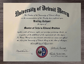 Make a University of Detroit Mercy degree in Wittiest way.