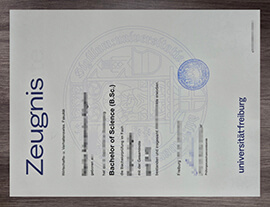 Where to Create a copy of my Universität Freiburg Zeugnis?