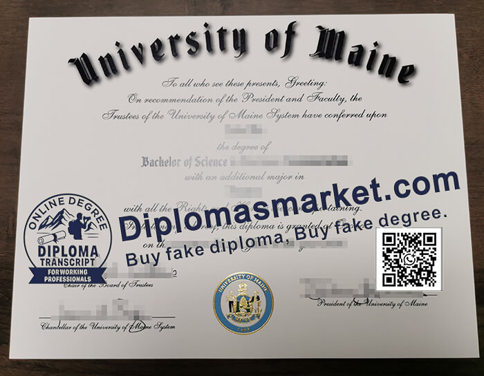 University of Maine degree