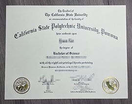 Can I Order a Cal Poly Pomona Diploma Online? Buy CSPUP degree.