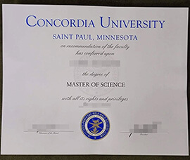 Where to make a Concordia University Saint Paul degree?