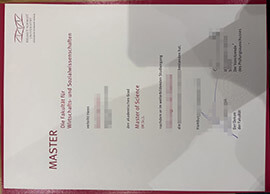 Ways to order a Helmut Schmidt Universität degree online.