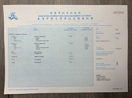 Why not obtain a HKDSE transcript with high marks online?