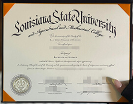 Copy Louisiana State University and A&M College degree.