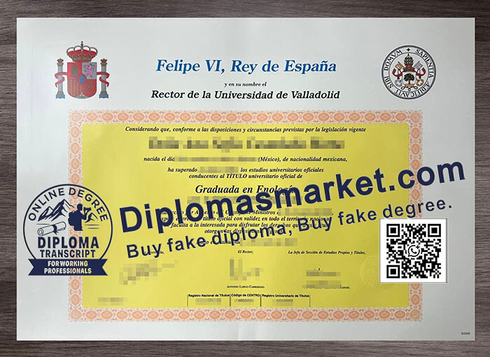 Universidad de Valladolid degree