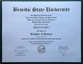 Sells the best-quality Bemidji State University degree online