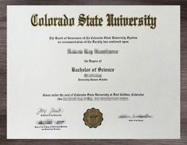 Guide to getting a Colorado State University diploma in USA.