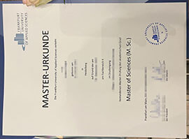 Obtain a Frankfurt University of Applied Sciences Urkunde.