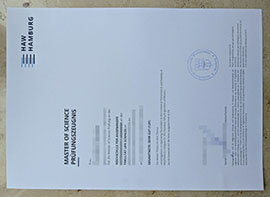 Tips to order the copy of a HAW Hamburg Zeugnis online.