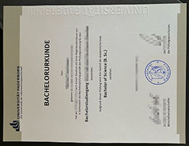 Sells the best-quality Universität Paderborn Urkunde online.
