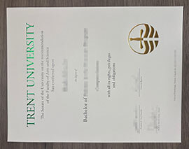 Enhance your education with a custom Trent University degree