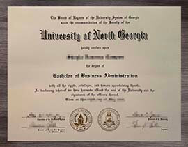 The price to order a University of North Georgia diploma.