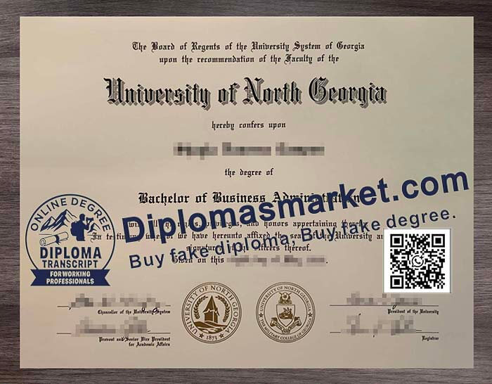 University of North Georgia degree