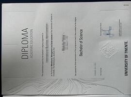 Effective tips for obtaining a University of Twente diploma online.