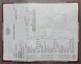 Solid Tips on How to Order Your Bastyr University transcript
