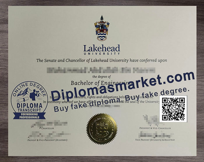 Lakehead University degree