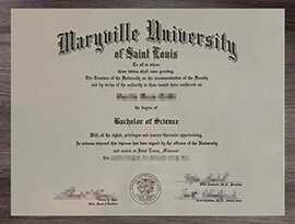 Useful tips for earning the Maryville University diploma online.