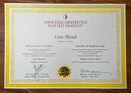 Step by step guide to make a Near East University diploma.