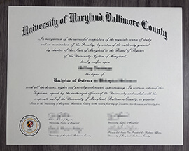 Purchase a University of Maryland Baltimore County degree.