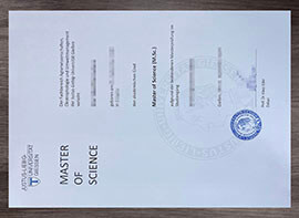 How to Obtain a Justus Liebig Universität Giessen degree?