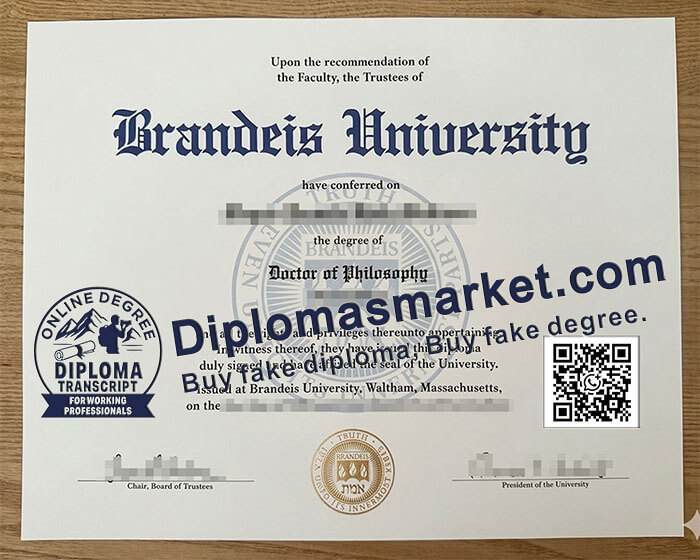 Brandeis University degree