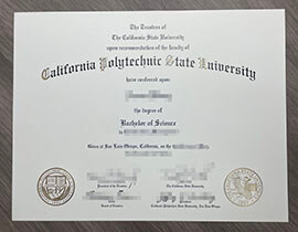 An excellent way to Get a Cal Poly San Luis Obispo diploma online.