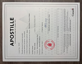 Best Online Canada Apostille certificate Duplicate Services 2026