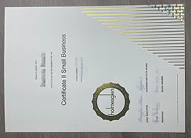 Get Your Holmesglen Institute certificate Statement Online Now