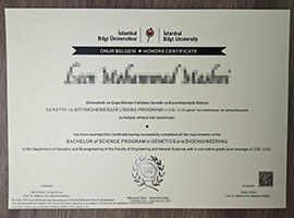 Step by step guide to make a Istanbul Bilgi University diploma