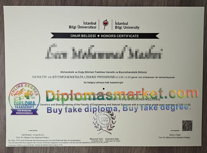 Istanbul Bilgi University degree