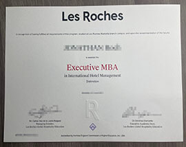 How Can I Order a Les Roches diploma in amazing quality?