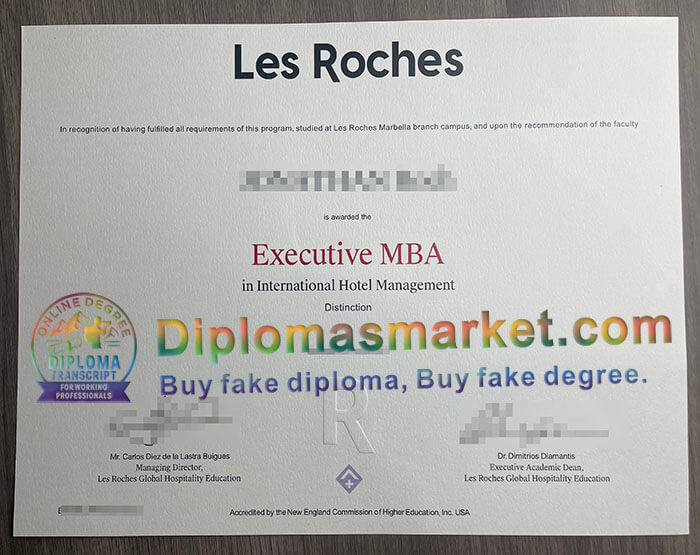 Les Roches degree