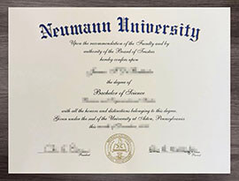 Simple ways to Order a Neumann University diploma online.