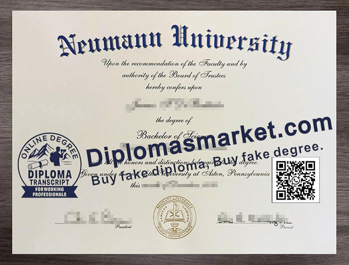 Neumann University degree